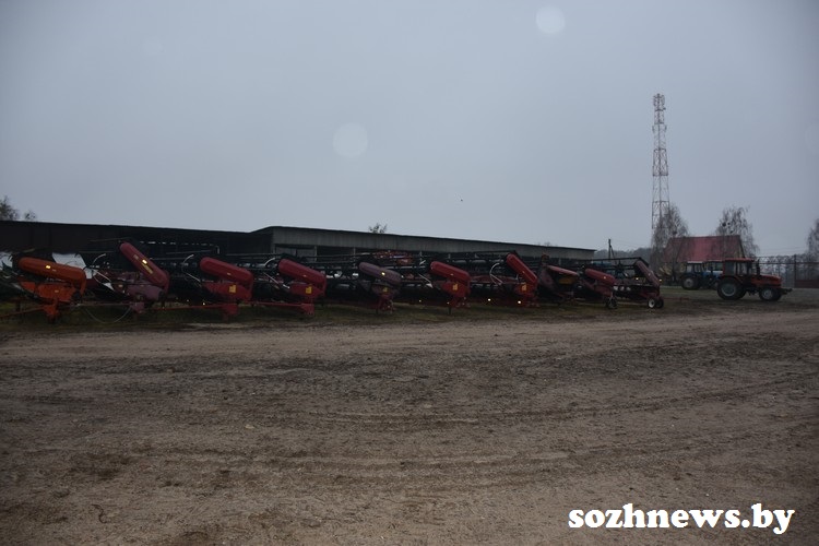 DSC_7-00954_20.JPG