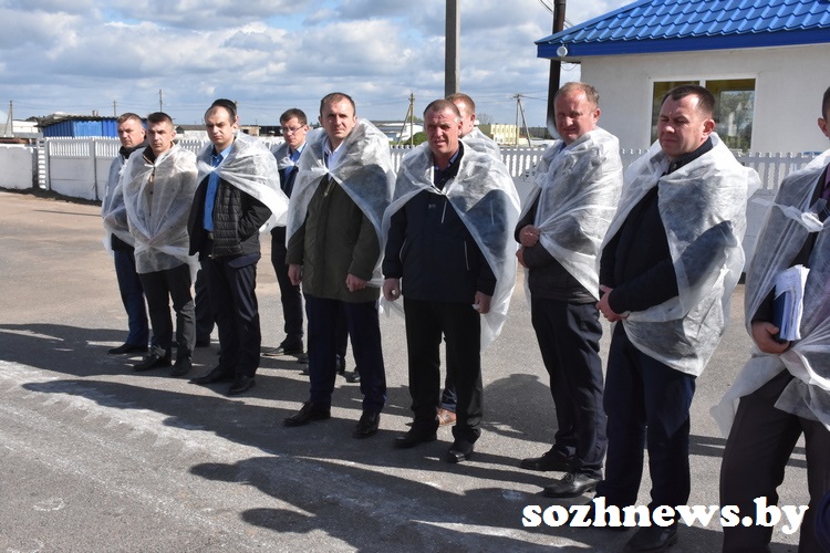 semin20.jpg