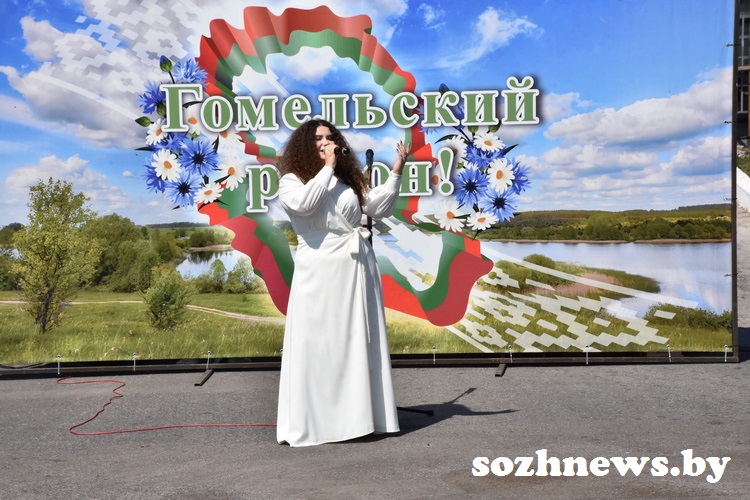 zsk13.jpg