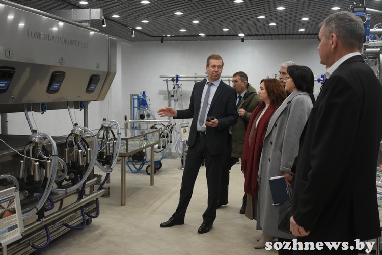 d6s5csdc4d584 (7).JPG