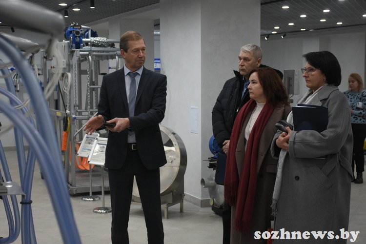 d6s5csdc4d584 (10).JPG