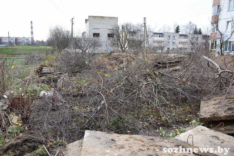 5sdf45df45sd4 (18).JPG