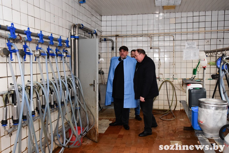 ds54f5dsf45ds (3).jpg