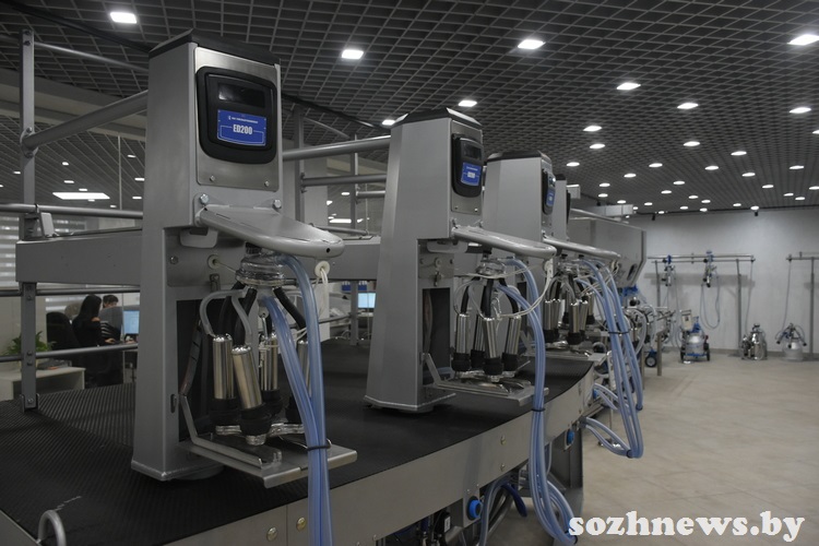 d6s5csdc4d584 (14).JPG