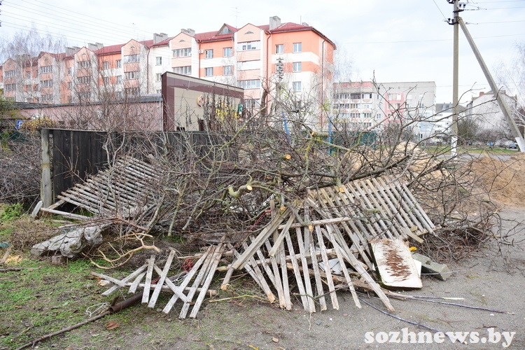 5sdf45df45sd4 (17).JPG