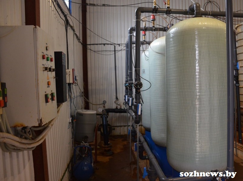 sd65gd6s5g546sd554g (1).jpg