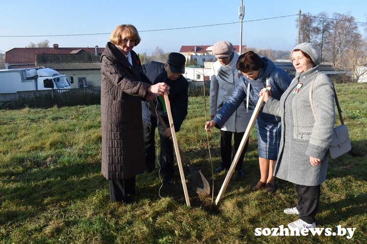 ds89ds9d8sf (14).jpg