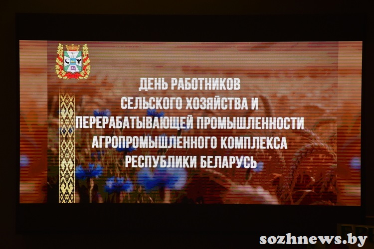 5ds4fd5f5sd4f54f (3).JPG