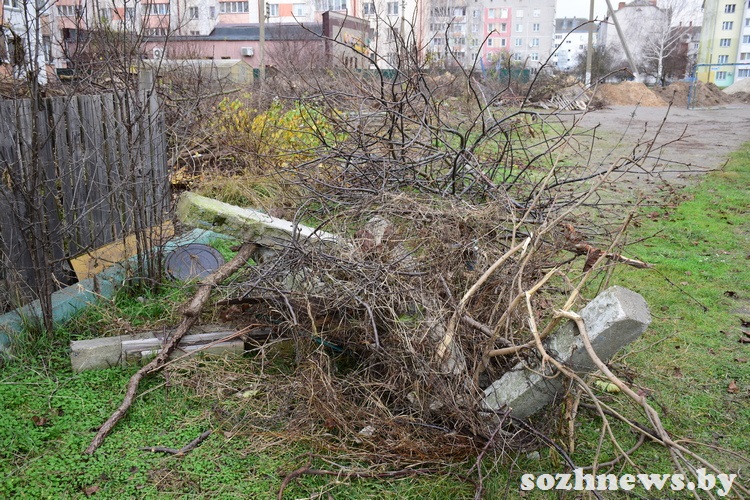 5sdf45df45sd4 (14).JPG