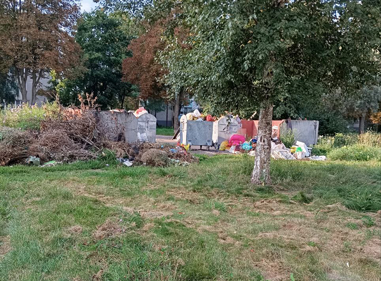 lgjldfjgldfjglfgjdflj (4).jpg