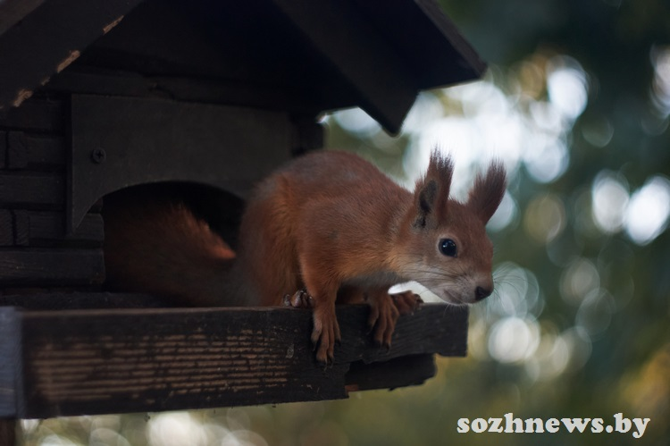 Фото Тимофея ЛЕВИНЦОВА