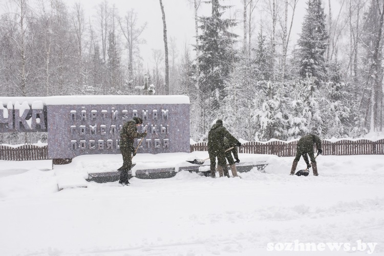 5d4v5d4v5d4v (3).JPG