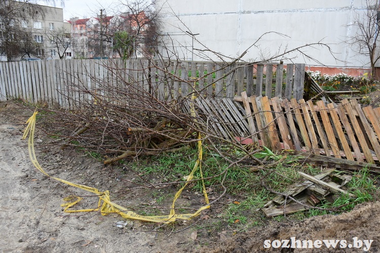 5sdf45df45sd4 (6).JPG