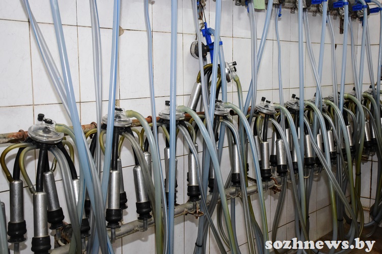 ds54f5dsf45ds (2).jpg