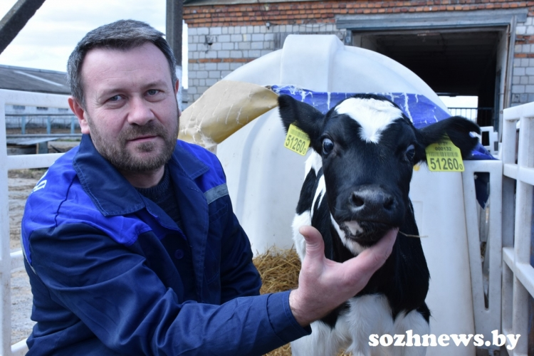 Вячеславу Струку.