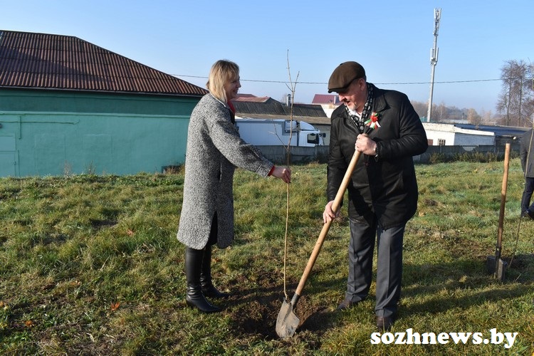 ds89ds9d8sf (12).jpg