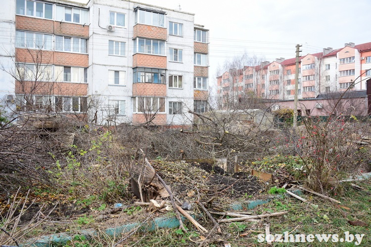 5sdf45df45sd4 (15).JPG