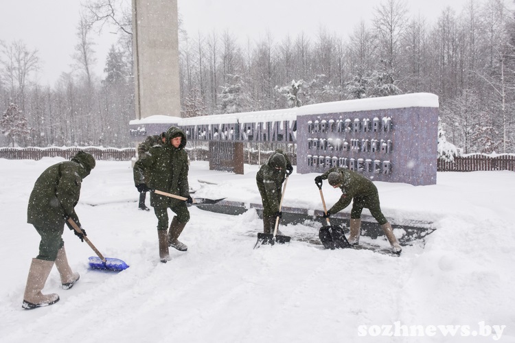 5d4v5d4v5d4v (4).JPG