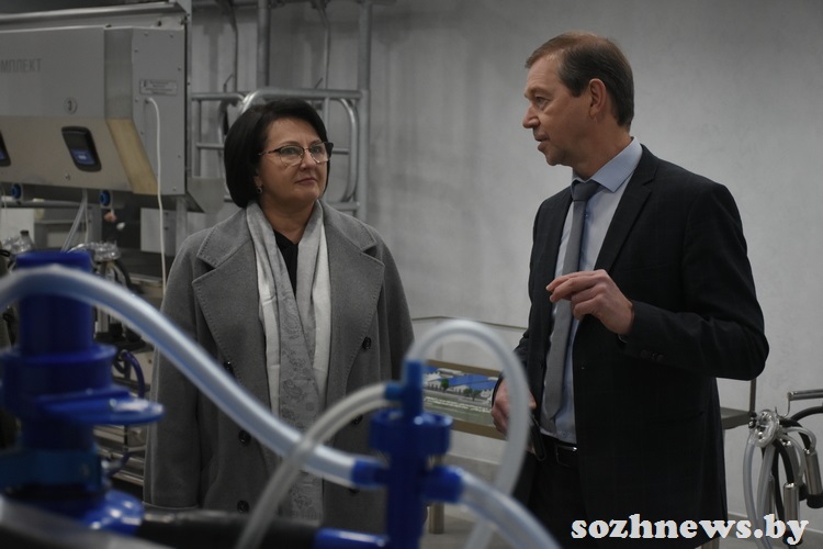 d6s5csdc4d584 (4).JPG