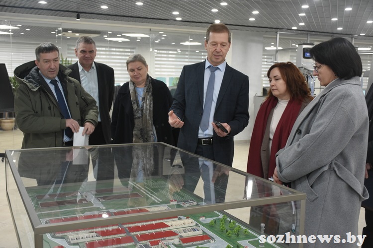 d6s5csdc4d584 (11).JPG