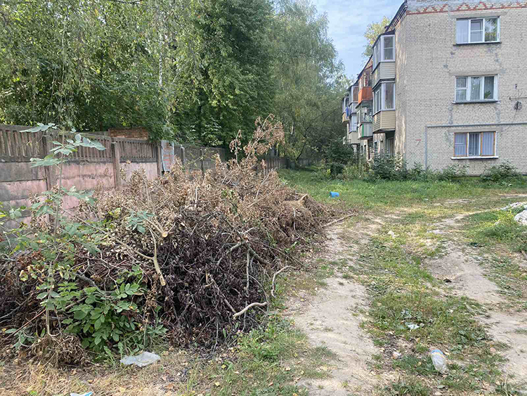 lgjdfljhjdflgjdfljlgf (2).jpg