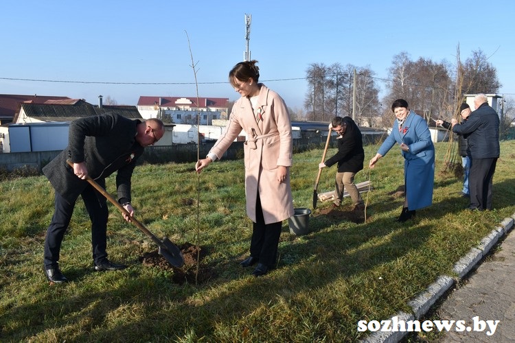 ds89ds9d8sf (11).jpg