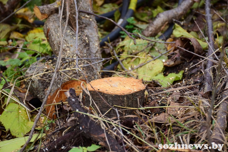 5sdf45df45sd4 (21).JPG