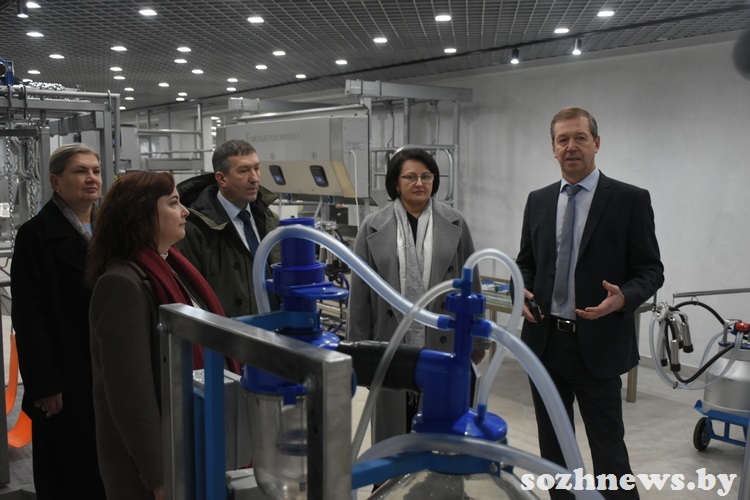 d6s5csdc4d584 (3).JPG