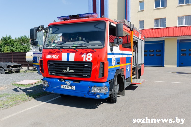 54556аа_7.jpg