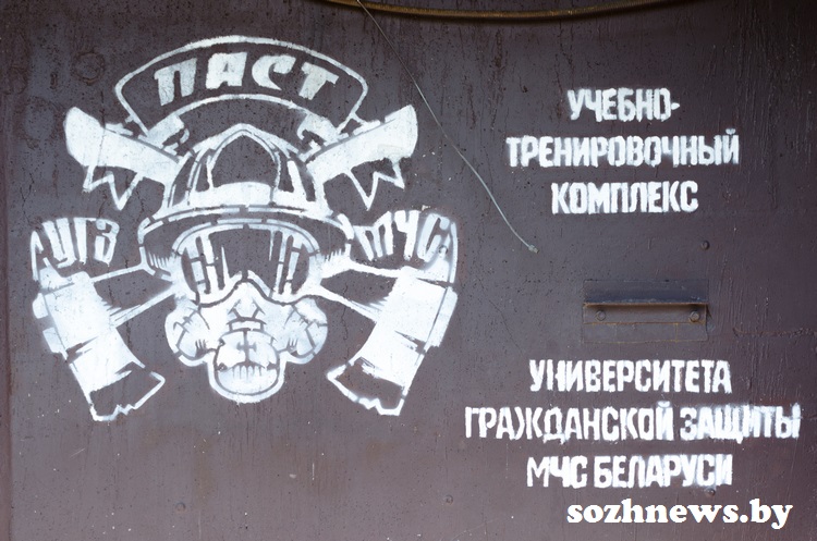 54556аа_9.jpg