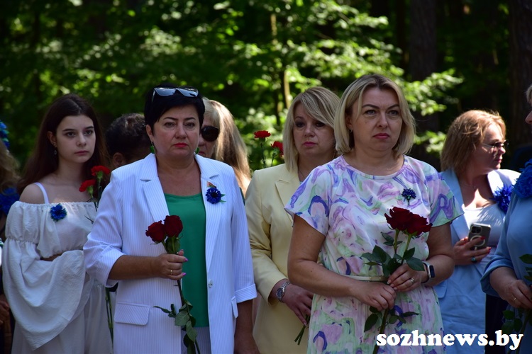D4V5SD4V5DS4V5D4_3.JPG