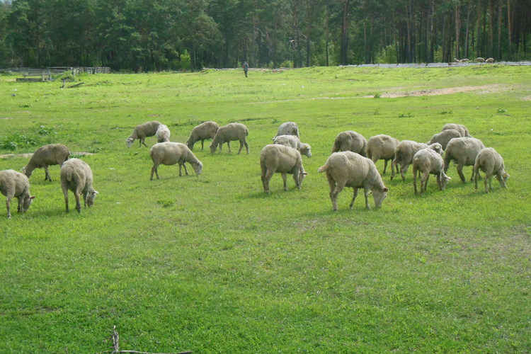 DSCN8109.jpg
