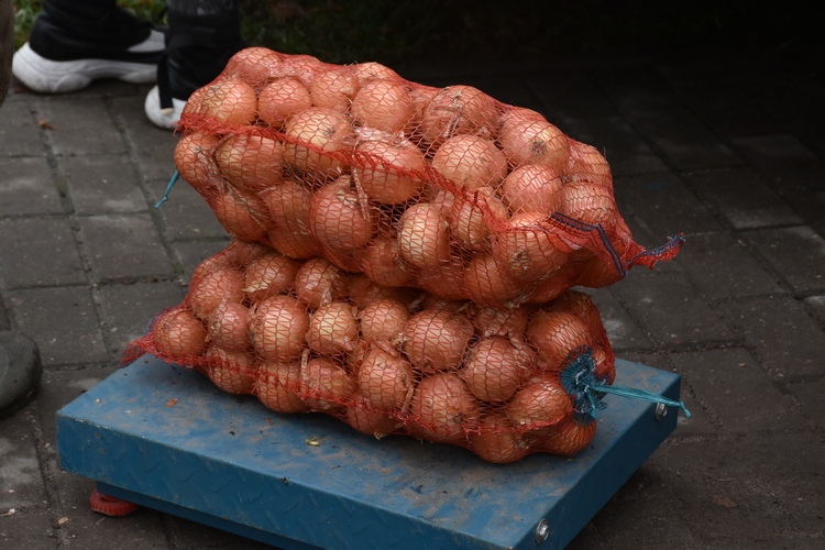 DSC_2085.JPG