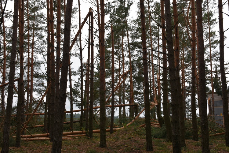 DSC_2277.JPG