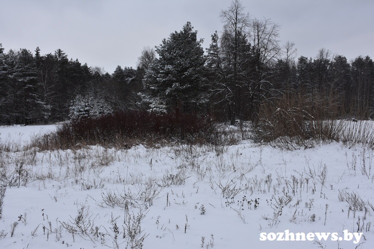 DSC_3282.JPG