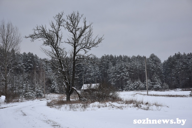 DSC_3286.JPG