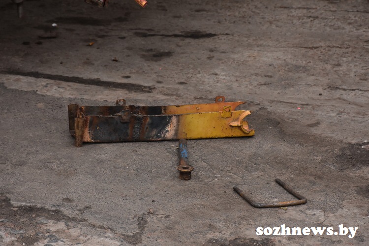 DSC_613381.JPG