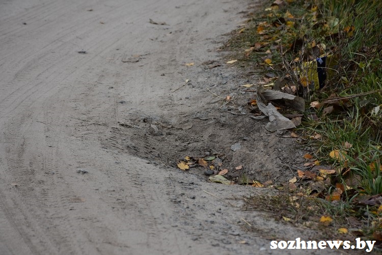 DSC_7-729_28.JPG