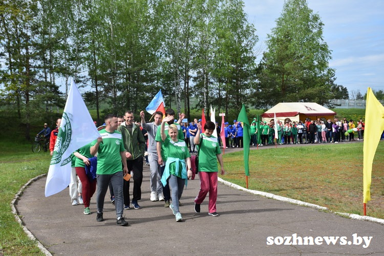 DSC_783354.JPG