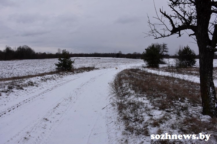 DSC_9-000526_2.JPG