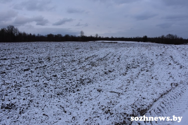 DSC_9-000526_7.JPG
