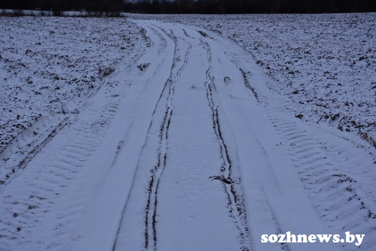 DSC_9-000526_8.JPG