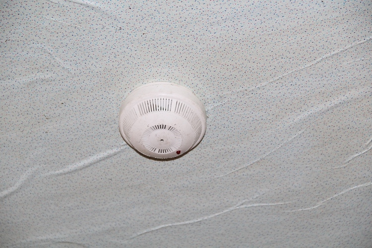 IM-99907_1.JPG