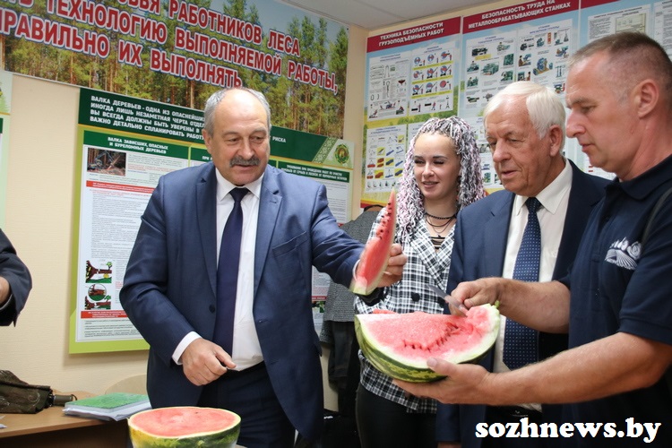 IMG_190079_31.JPG