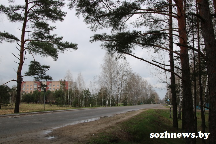 IMG_244760.JPG