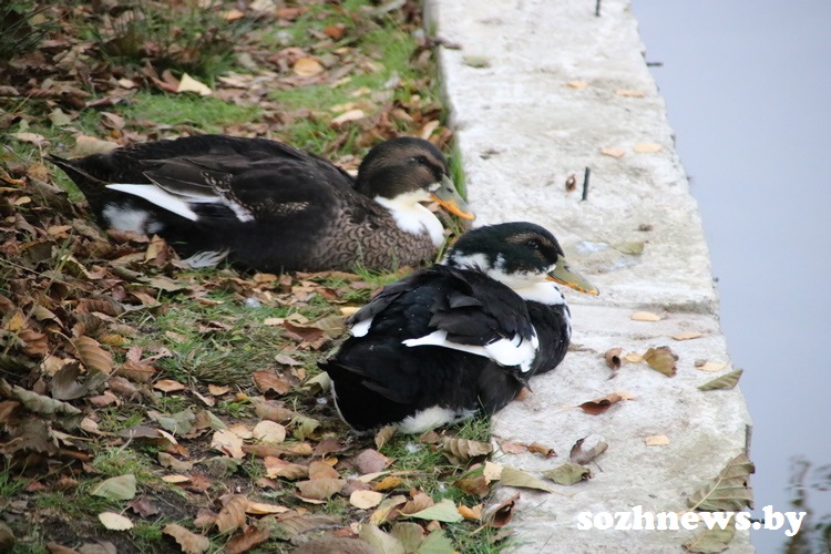 IMG_281443.JPG