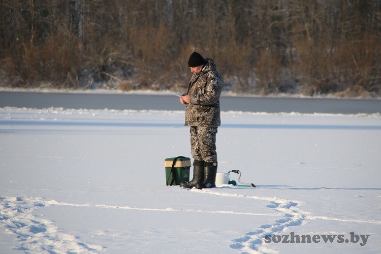 IMG_34547726_4.JPG