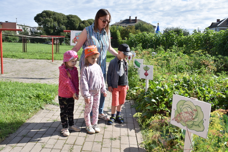 d5s4f5dsv45ds4v5_4.JPG
