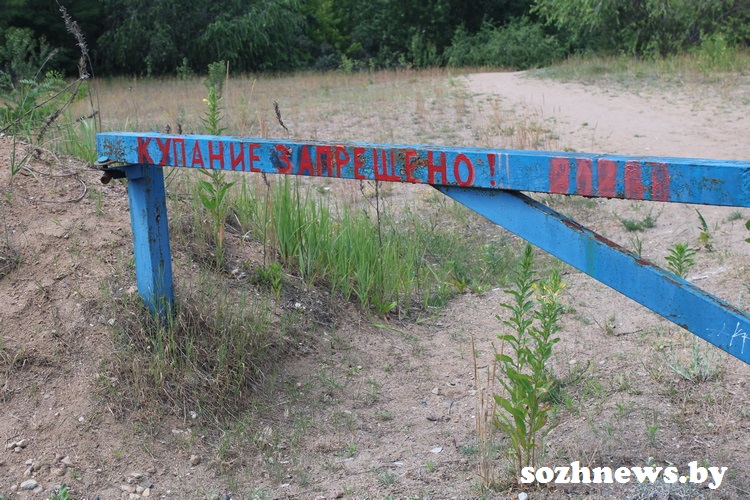 d65vg5gv65sxg_5.JPG