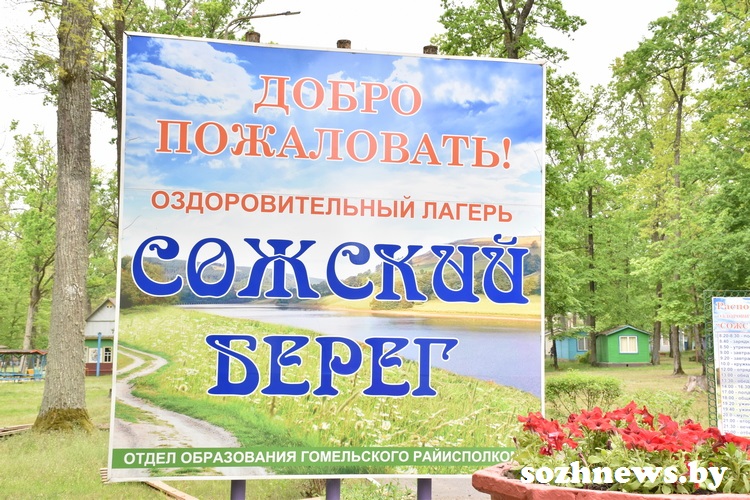 f8db787sb87f87b_3.JPG